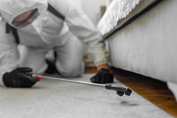 Professional Ant Control technician working in Crocker, WA