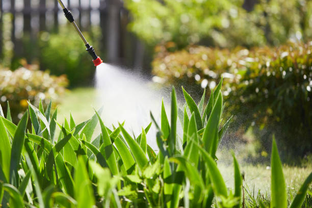 24/7 Emergency Ant Control experts in Crocker, WA