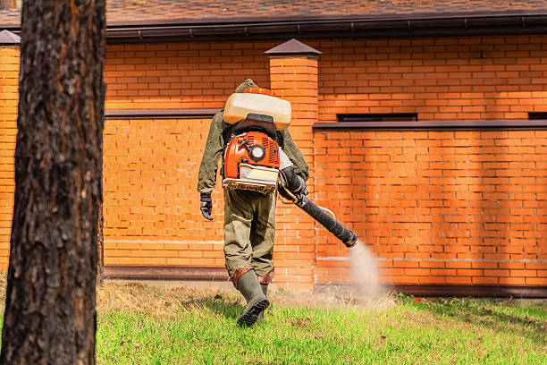 Top rated local Ant Control specialists in Crocker, WA